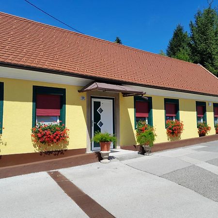 Hotel Pri Belokranjcu Ново-Место Экстерьер фото