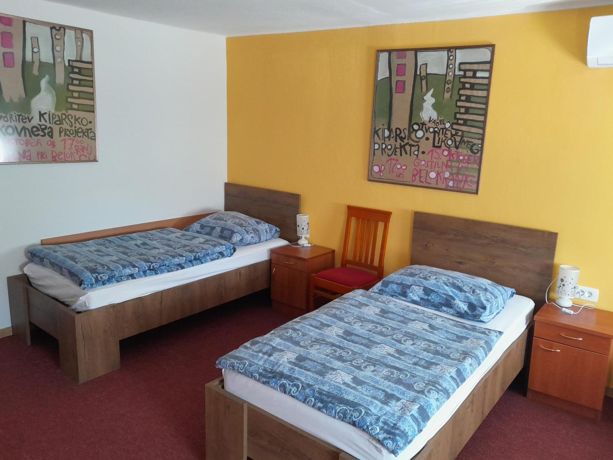 Hotel Pri Belokranjcu Ново-Место Экстерьер фото